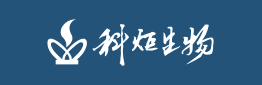 天津中新科炬